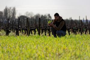 Union des Caves du Médoc