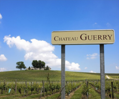 Bernard Magrez- Château Guerry