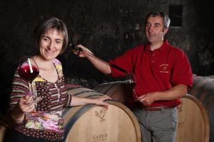 Domaine de La Chanteleuserie