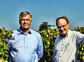 Château Cheval Brun