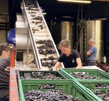 Domaine de Cassagnas