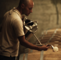 Château Tour Bicheau