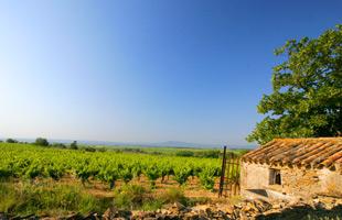 Maison Gérard Bertrand - Château Laville Bertrou