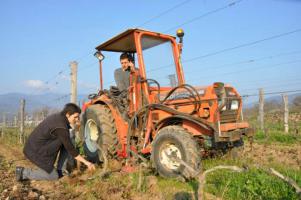 Domaine des Amphores