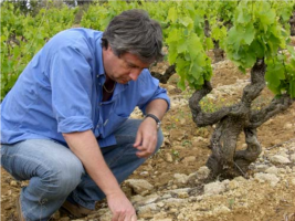 Domaine Paul Autard