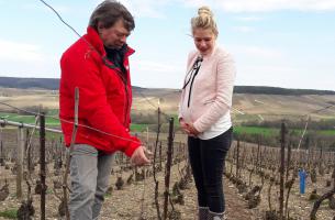 Champagne Lionel Carreau