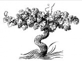 Château Gree Laroque