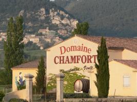 Domaine Chamfort