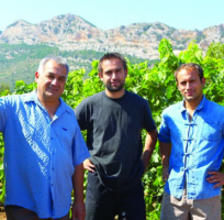 Domaine Antoine Arena