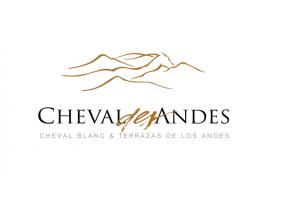 CHEVAL DES ANDES