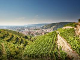 Maison Nicolas Perrin