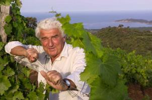 Domaine de Torraccia