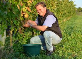 Domaine de Rocheville