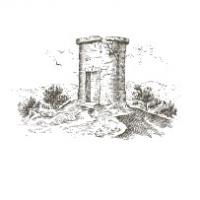 Domaine Du Vieux Telegraphe - Famille Brunier