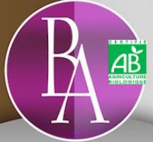 La Bataille des Anges