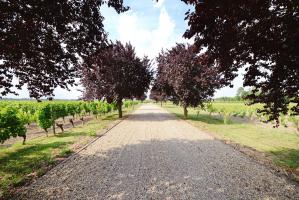 Château Tourteau Chollet