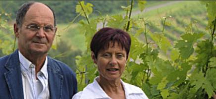 Vignobles Dubourg - Château Nicot