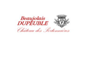 Domaine Dupeuble - Château des Pertonnières