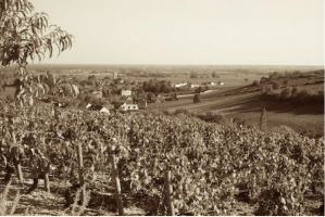 Domaine Jean Luc Joillot