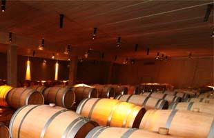 Maison Gérard Bertrand - Domaine de l'Aigle