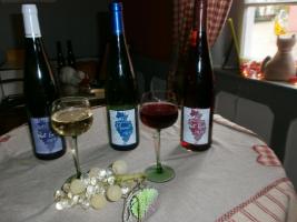 Domaine Schneider Jean-Marc