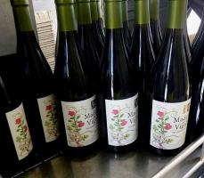 Madame de ses Vignes