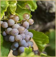 Château de Valloubière