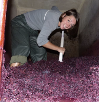 Domaine de la Grosse Pierre