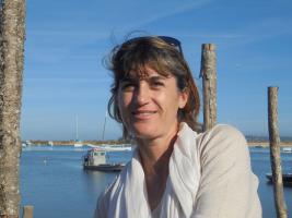 Château Haut Lavigne