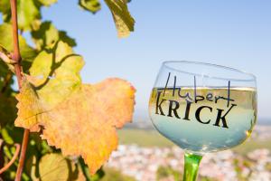 Domaine Hubert Krick