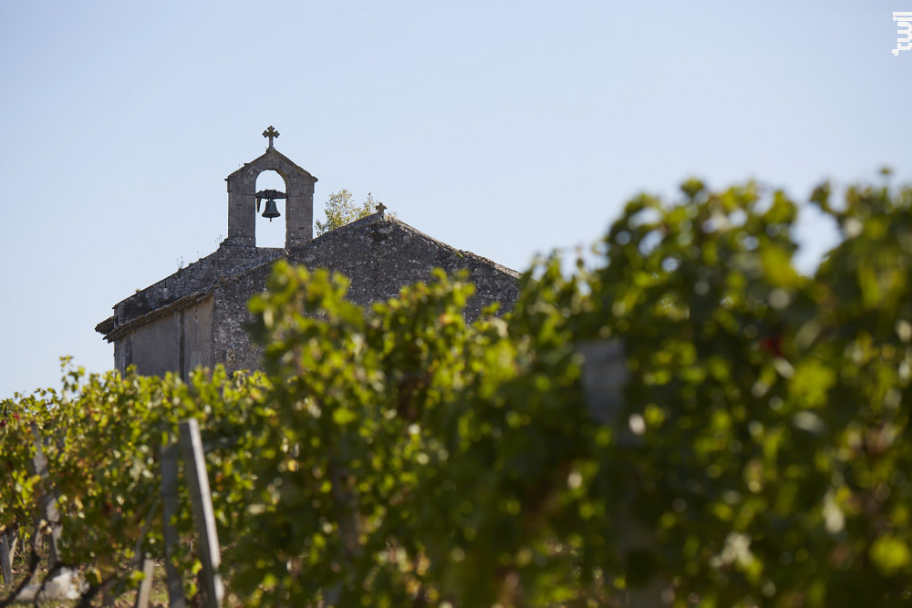 Buy Wine Château Chapelle D'aliénor Red Domaines Comte De Malet
