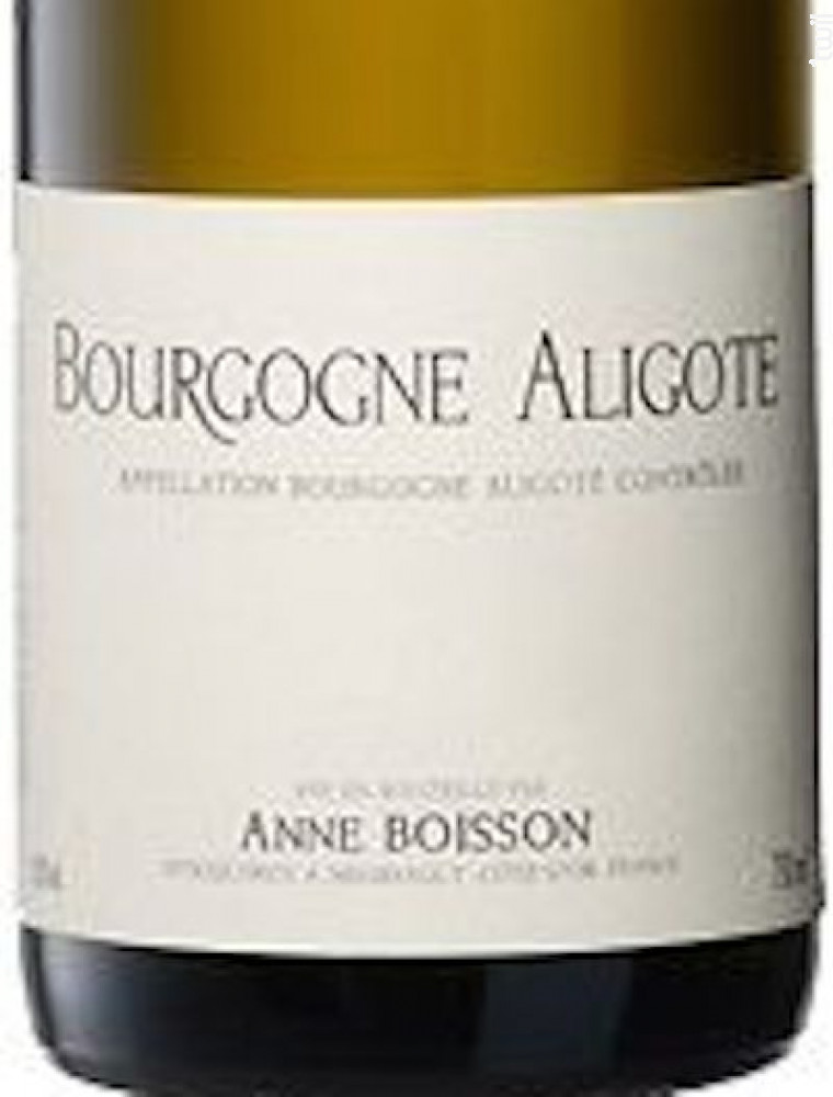 Buy Wine Bourgogne Aligote White Domaine Jean Pascal Et Fils