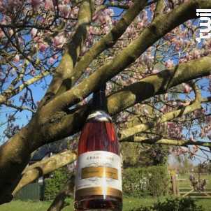 Rosé François Lavergne - Champagne François Lavergne - No vintage - Effervescent