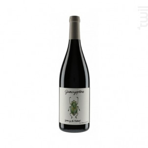 Gamayoptère - Domaine Antoine Lienhardt - 2023 - Rouge