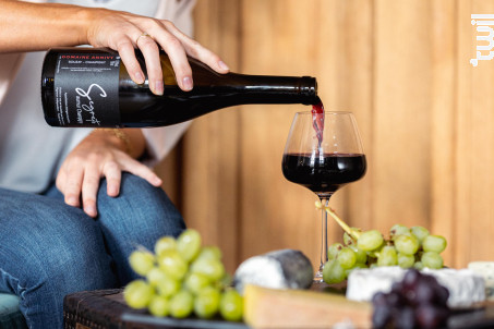 SEGRETO - Domaine Annivy - 2020 - Rouge