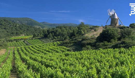 Cassiopée - Domaine Pech de Lune - 2019 - Rouge