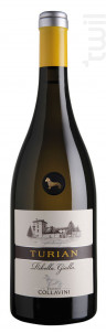 Turian Ribolla Gialla - Eugenio Collavini - No vintage - Blanc