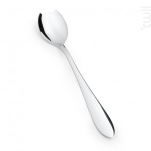 Coffret 6 Cuilleres Melon Atlanta - table passion -  - 