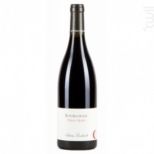 Bourgogne Pinot Noir - Domaine Antoine Lienhardt - 2023 - Rouge