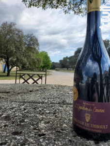 AOP Rouge Prestige de Thibault - Domaine l'Oppidum des Cauvins - 2018 - Rouge