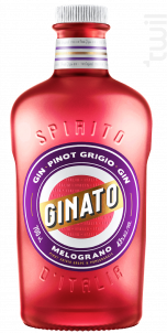 Gin Grenade & Raisin Barbera - Ginato - No vintage - 
