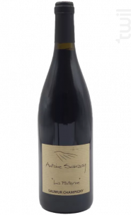 La Paterne - Domaine Antoine Sanzay - 2023 - Rouge