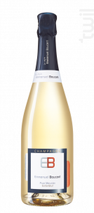 Le Style Emmanuel Boucant 100 % Meunier - Champagne Emmanuel Boucant - No vintage - Blanc