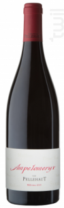 L’Ampélomeryx - Domaine de Pellehaut - 2023 - Rouge