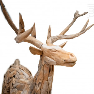 Renne Bois - Amadeus -  - 