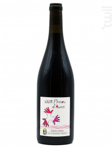 100%  Pineau d'Aunis - Domaine les Grandes Vignes - 2022 - Rouge