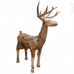 Renne Bois - Amadeus -  - 