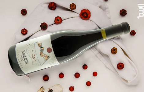 Senza Alibi - Azienda Agricola Petrini - 2017 - Rouge