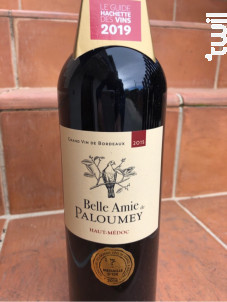 Belle Amie - Vignobles Paloumey- Château Paloumey - 2015 - Rouge