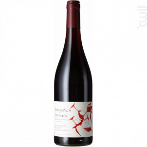 Beaujolais nouveau - Jean Foillard - 2023 - Rouge